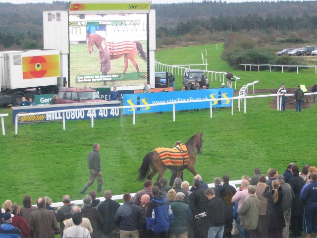 From the stands at Exeter Racecourse